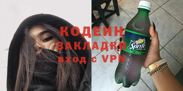 шишки Жердевка